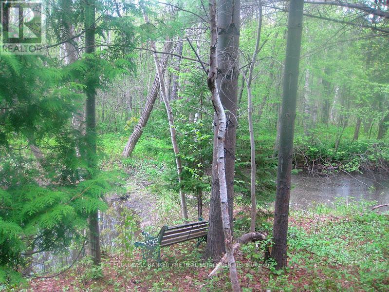 15600 Weston Road, King, Ontario  L7B 0L1 - Photo 33 - N12512424