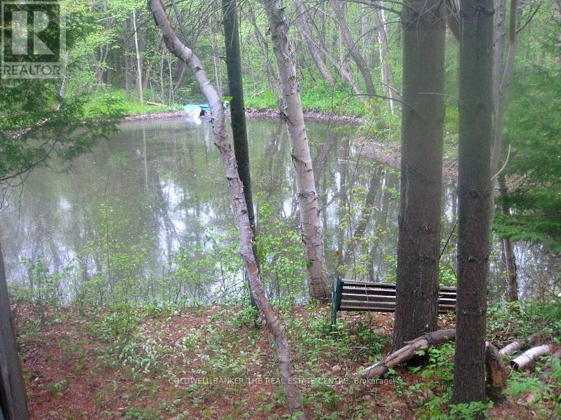 15600 Weston Road, King, Ontario  L7B 0L1 - Photo 34 - N12512424