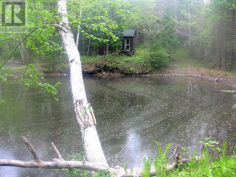 15600 Weston Road, King, Ontario  L7B 0L1 - Photo 36 - N12512424