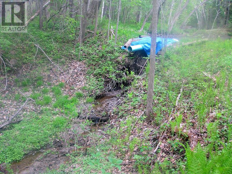 15600 Weston Road, King, Ontario  L7B 0L1 - Photo 38 - N12512424