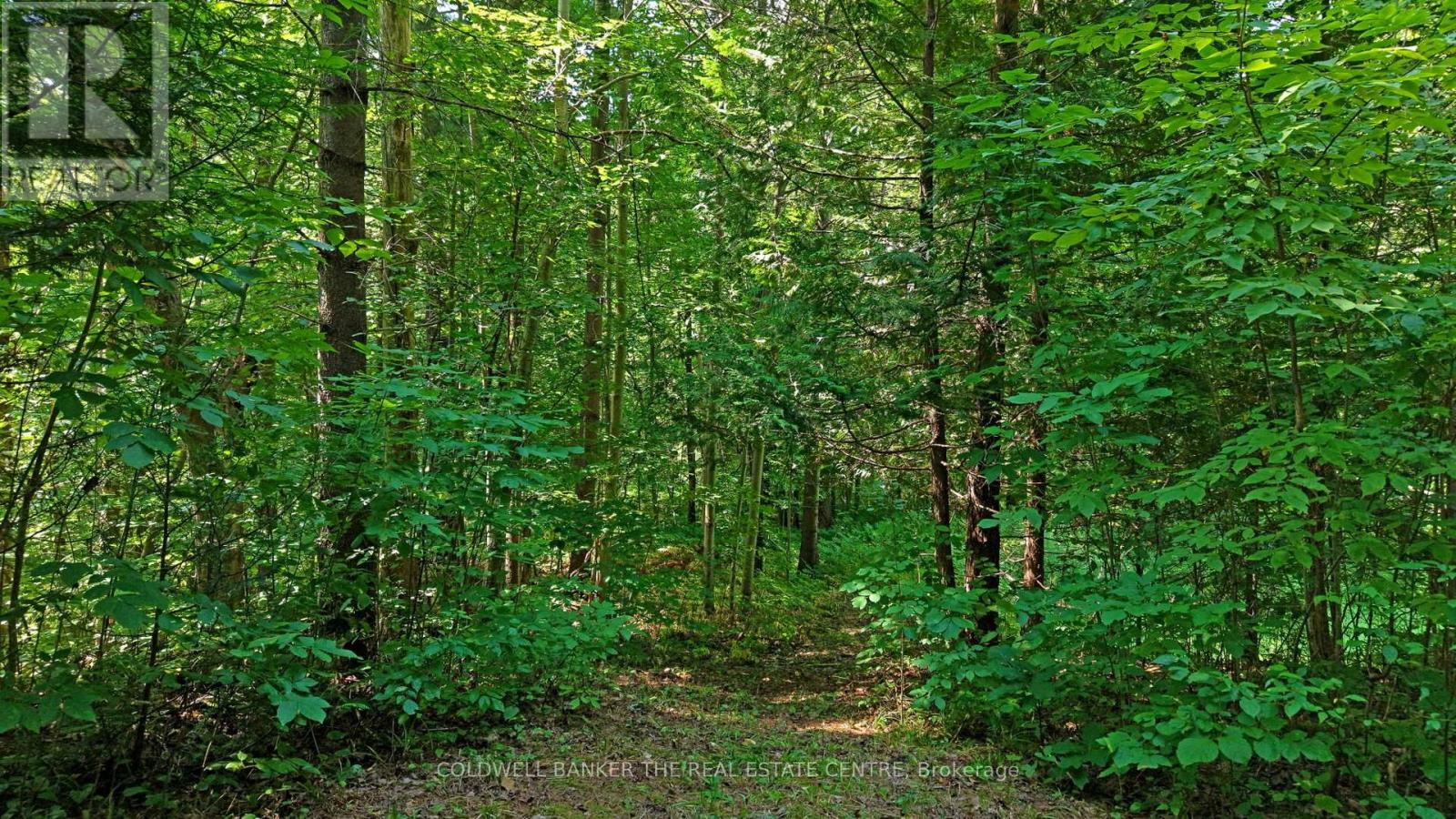 15600 Weston Road, King, Ontario  L7B 0L1 - Photo 6 - N12512424