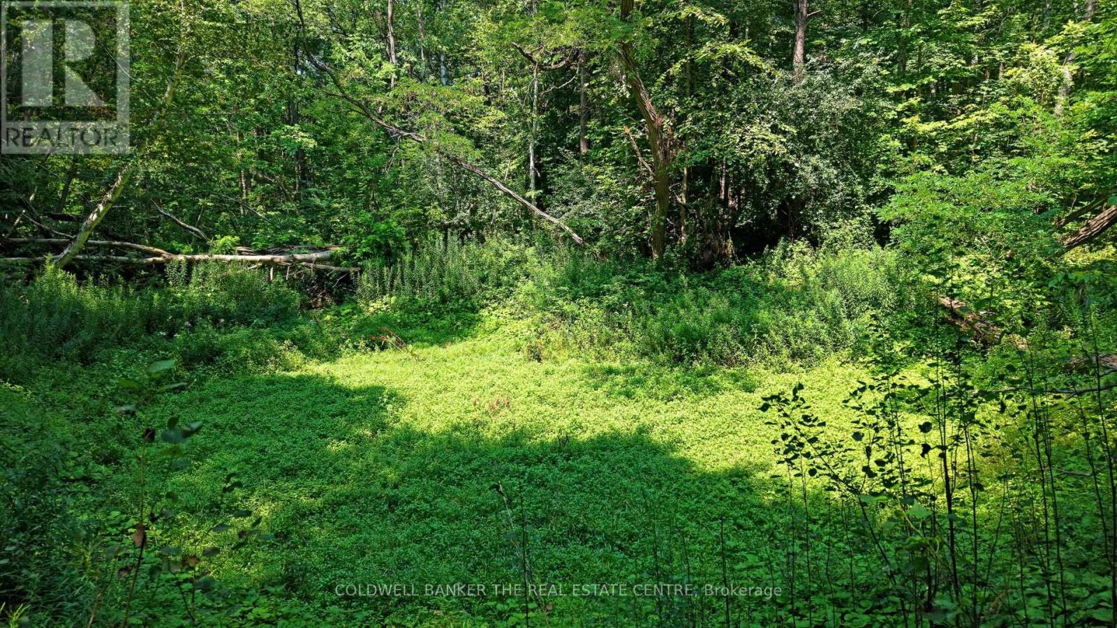 15600 Weston Road, King, Ontario  L7B 0L1 - Photo 8 - N12512424