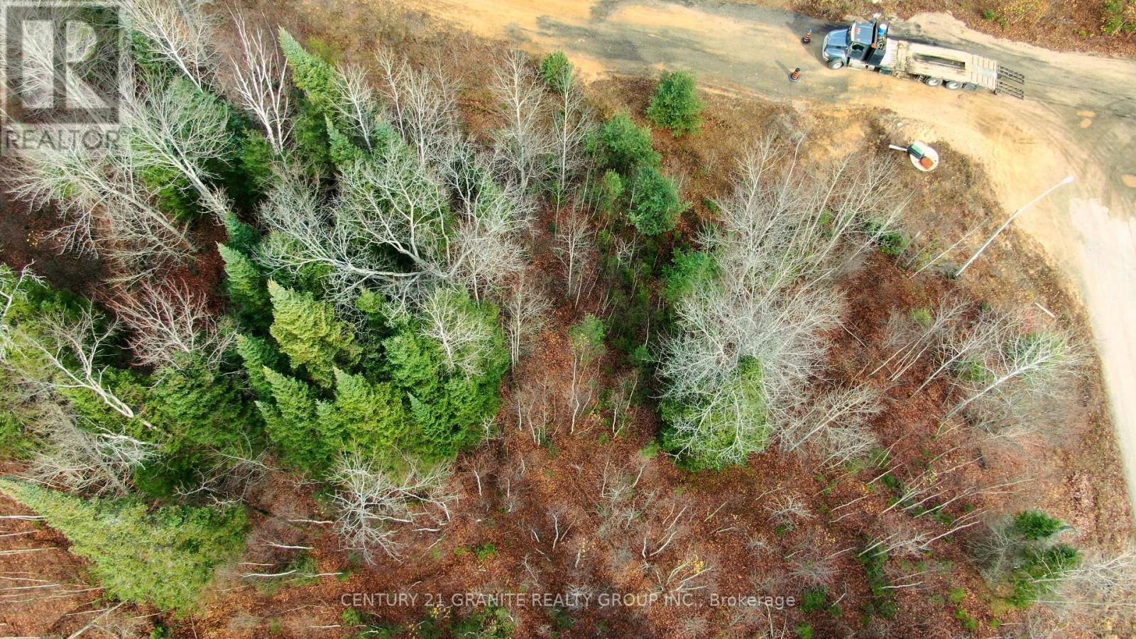 57 Nicklaus Drive, Bancroft, Ontario K0L 1C0 - Photo 11 - X12501996