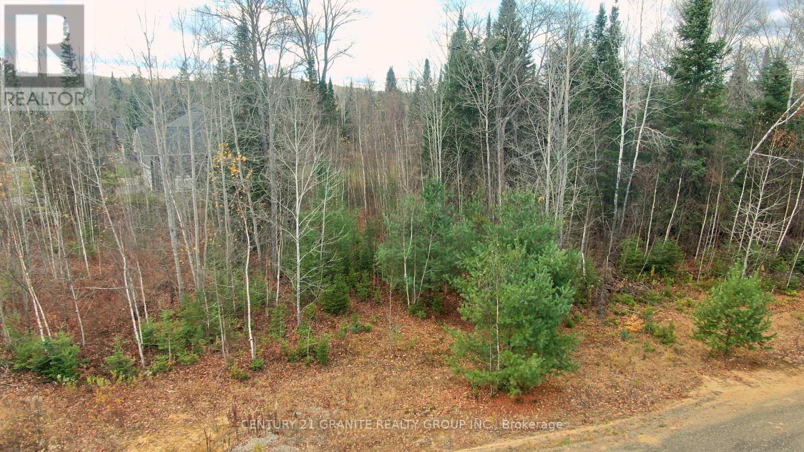 57 Nicklaus Drive, Bancroft, Ontario K0L 1C0 - Photo 21 - X12501996