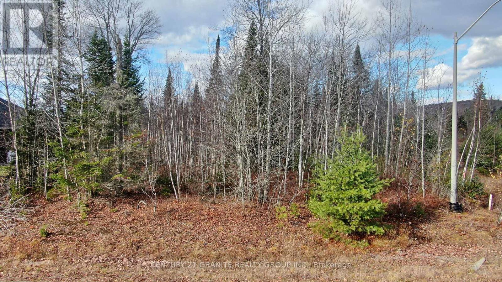 57 Nicklaus Drive, Bancroft, Ontario K0L 1C0 - Photo 8 - X12501996