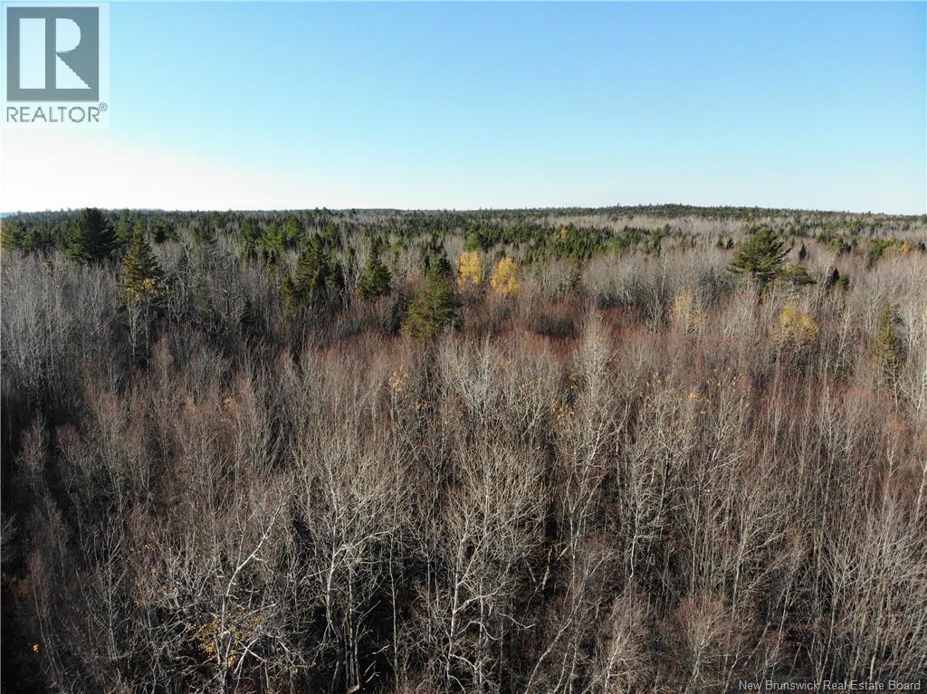 10552 Route 10, Youngs Cove, New Brunswick  E4C 2E2 - Photo 1 - NB129558