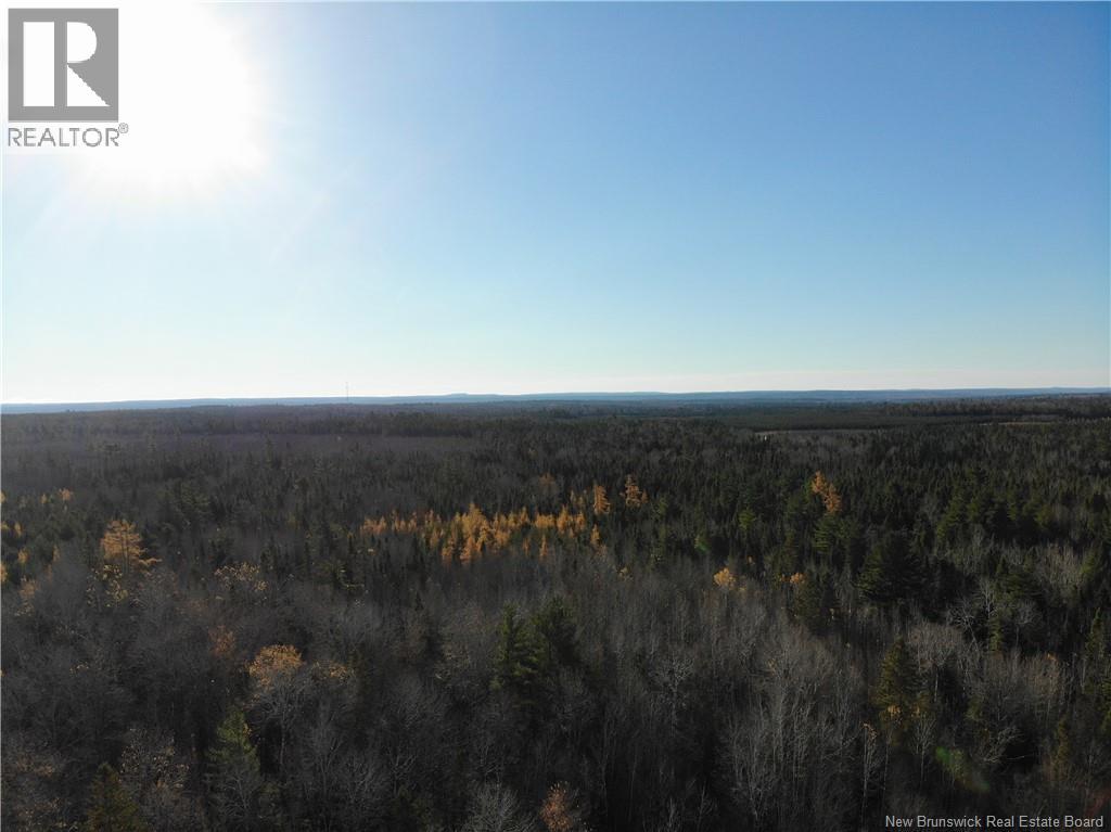 10552 Route 10, Youngs Cove, New Brunswick  E4C 2E2 - Photo 10 - NB129558