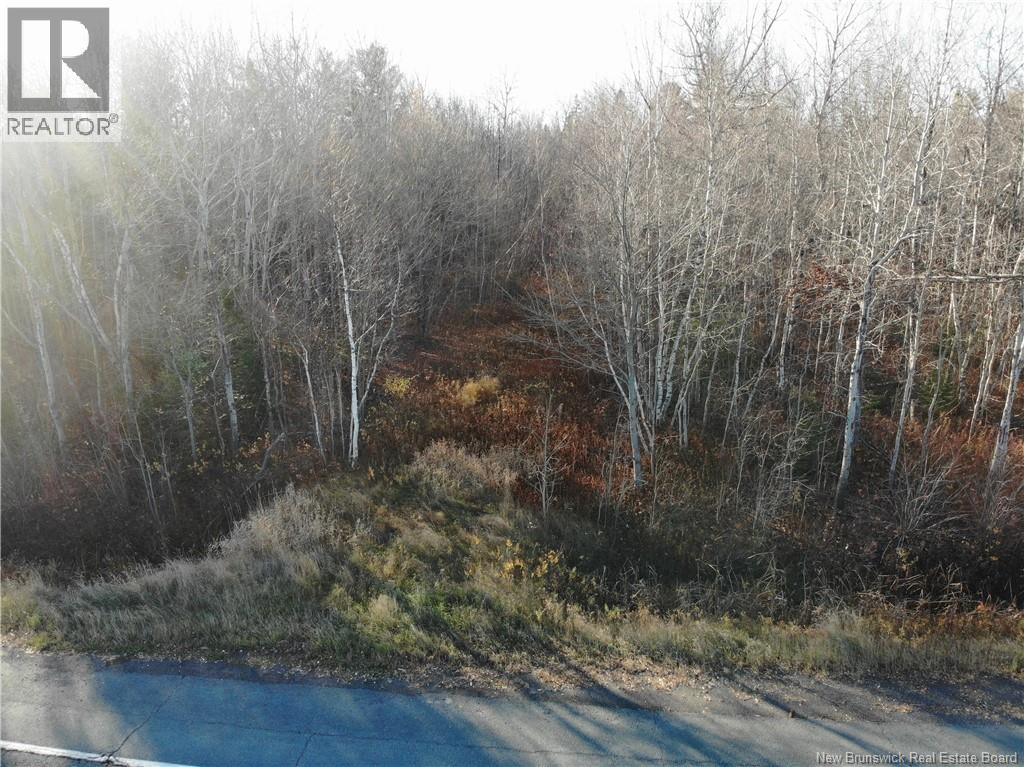 10552 Route 10, Youngs Cove, New Brunswick  E4C 2E2 - Photo 11 - NB129558