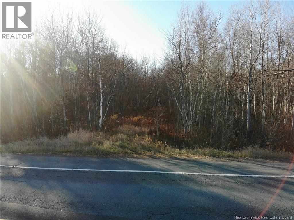 10552 Route 10, Youngs Cove, New Brunswick  E4C 2E2 - Photo 12 - NB129558