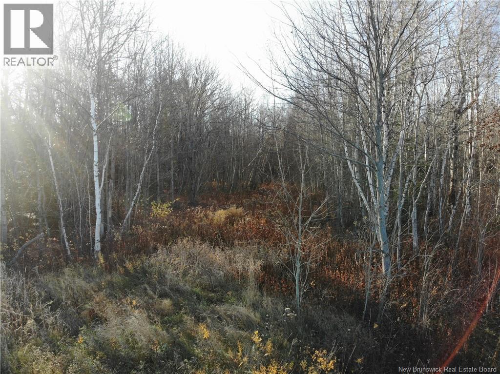 10552 Route 10, Youngs Cove, New Brunswick  E4C 2E2 - Photo 13 - NB129558