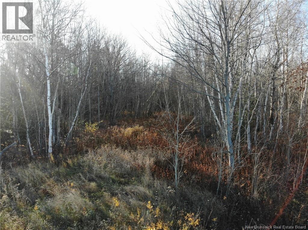 10552 Route 10, Youngs Cove, New Brunswick  E4C 2E2 - Photo 14 - NB129558