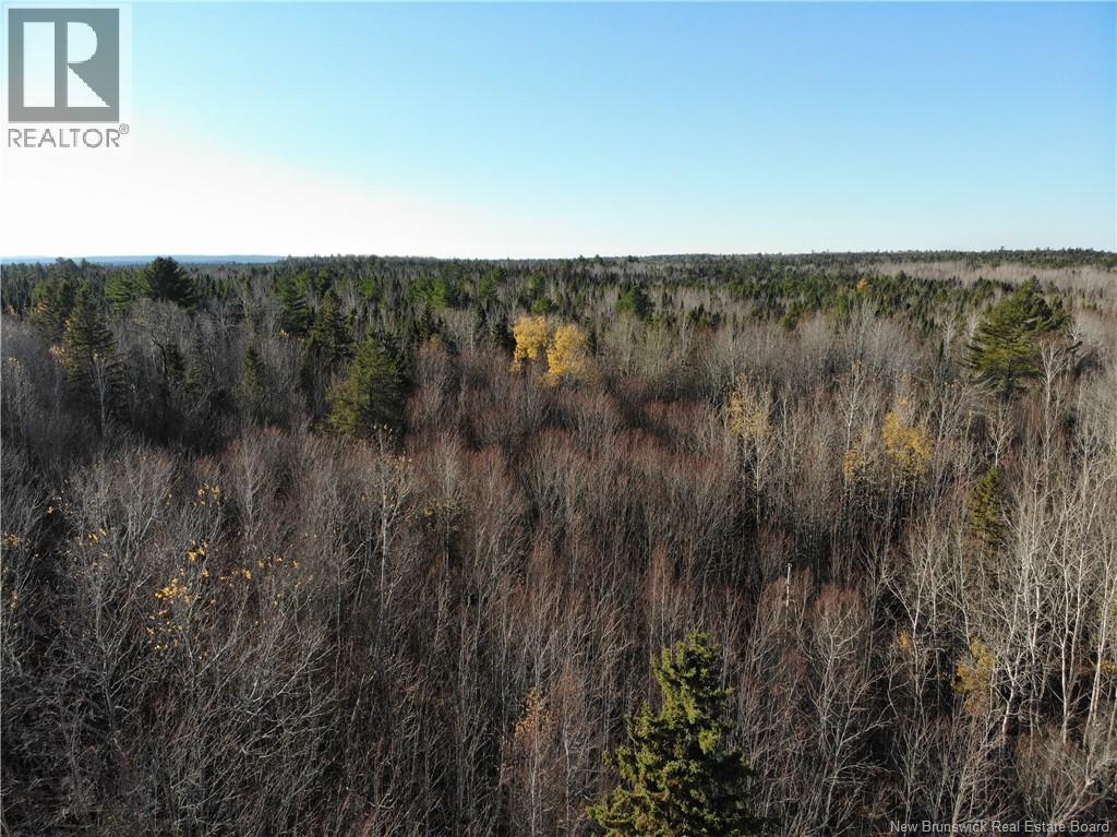 10552 Route 10, Youngs Cove, New Brunswick  E4C 2E2 - Photo 2 - NB129558