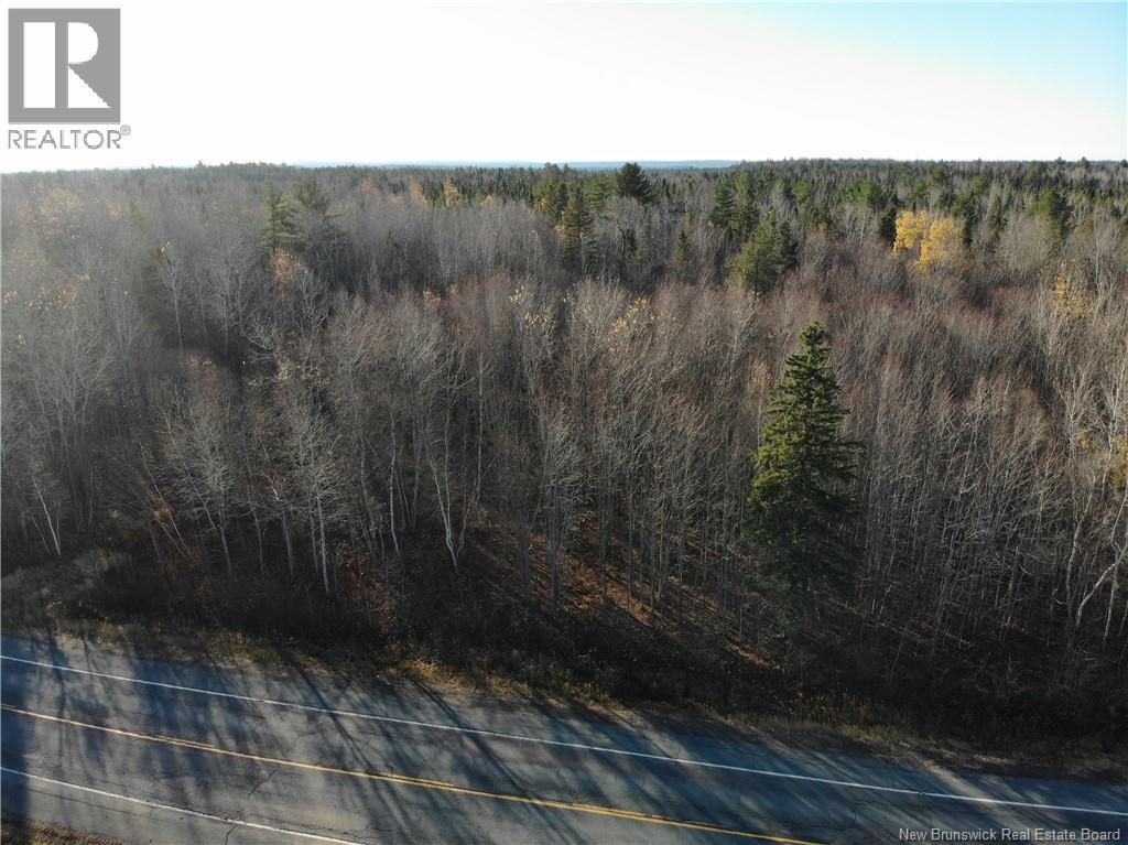 10552 Route 10, Youngs Cove, New Brunswick  E4C 2E2 - Photo 3 - NB129558