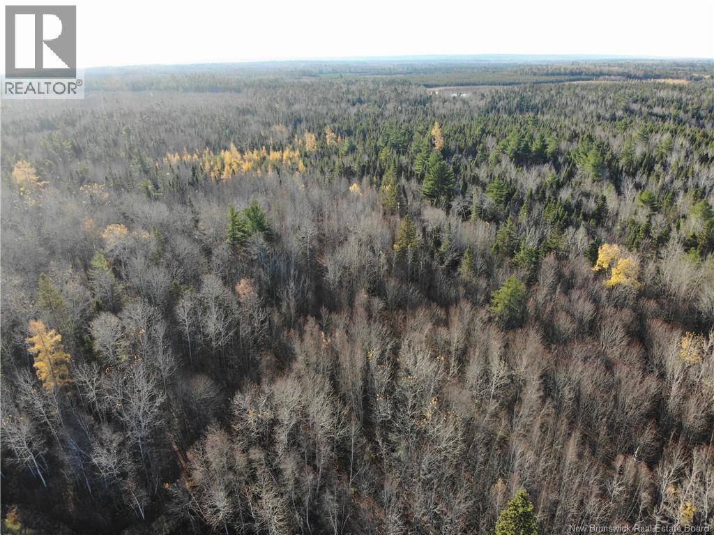 10552 Route 10, Youngs Cove, New Brunswick  E4C 2E2 - Photo 4 - NB129558