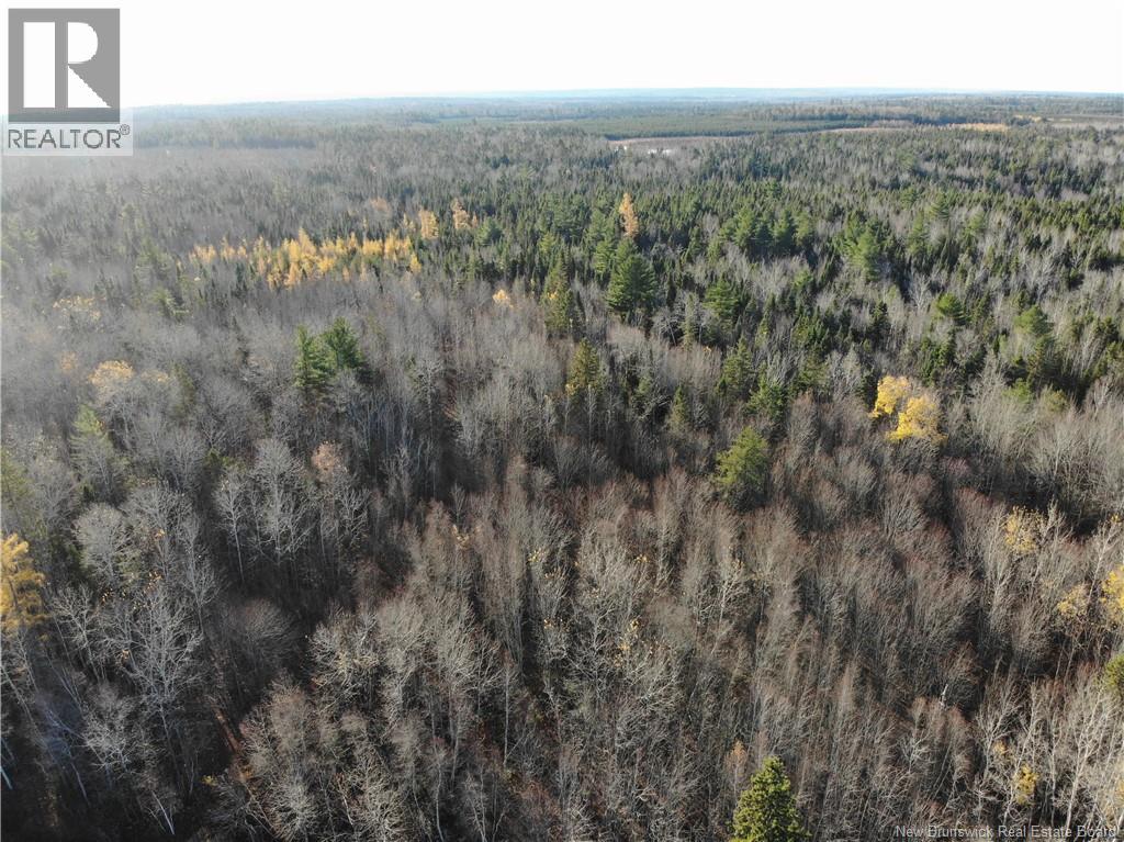 10552 Route 10, Youngs Cove, New Brunswick  E4C 2E2 - Photo 5 - NB129558