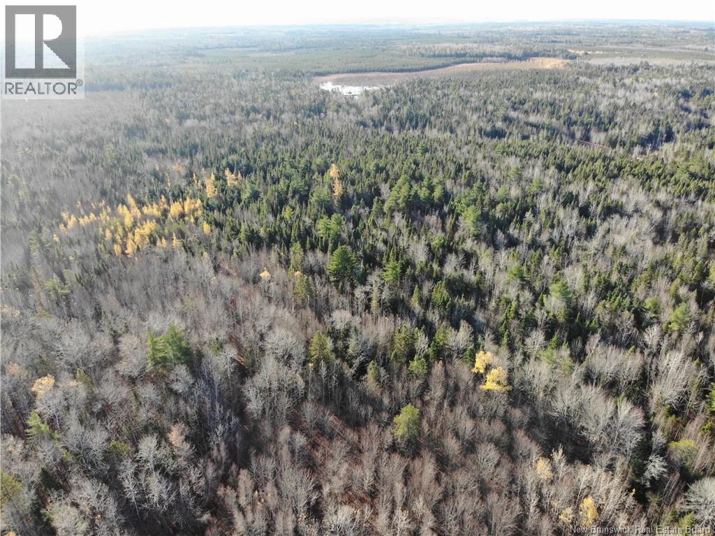 10552 Route 10, Youngs Cove, New Brunswick  E4C 2E2 - Photo 6 - NB129558