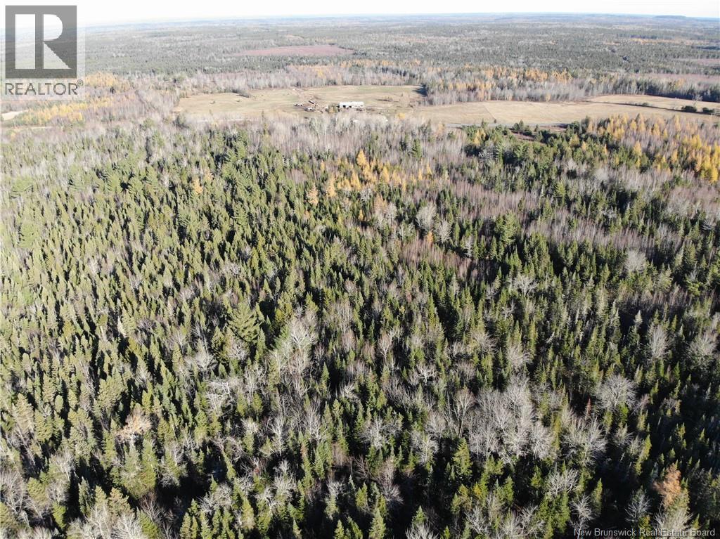 10552 Route 10, Youngs Cove, New Brunswick  E4C 2E2 - Photo 7 - NB129558