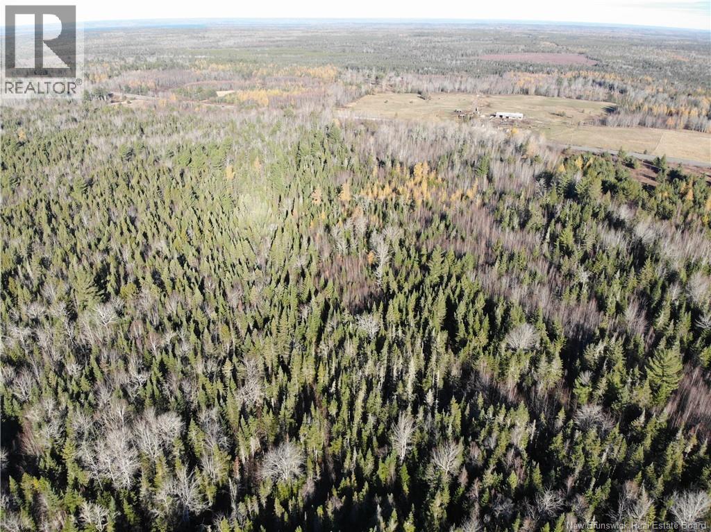 10552 Route 10, Youngs Cove, New Brunswick  E4C 2E2 - Photo 9 - NB129558