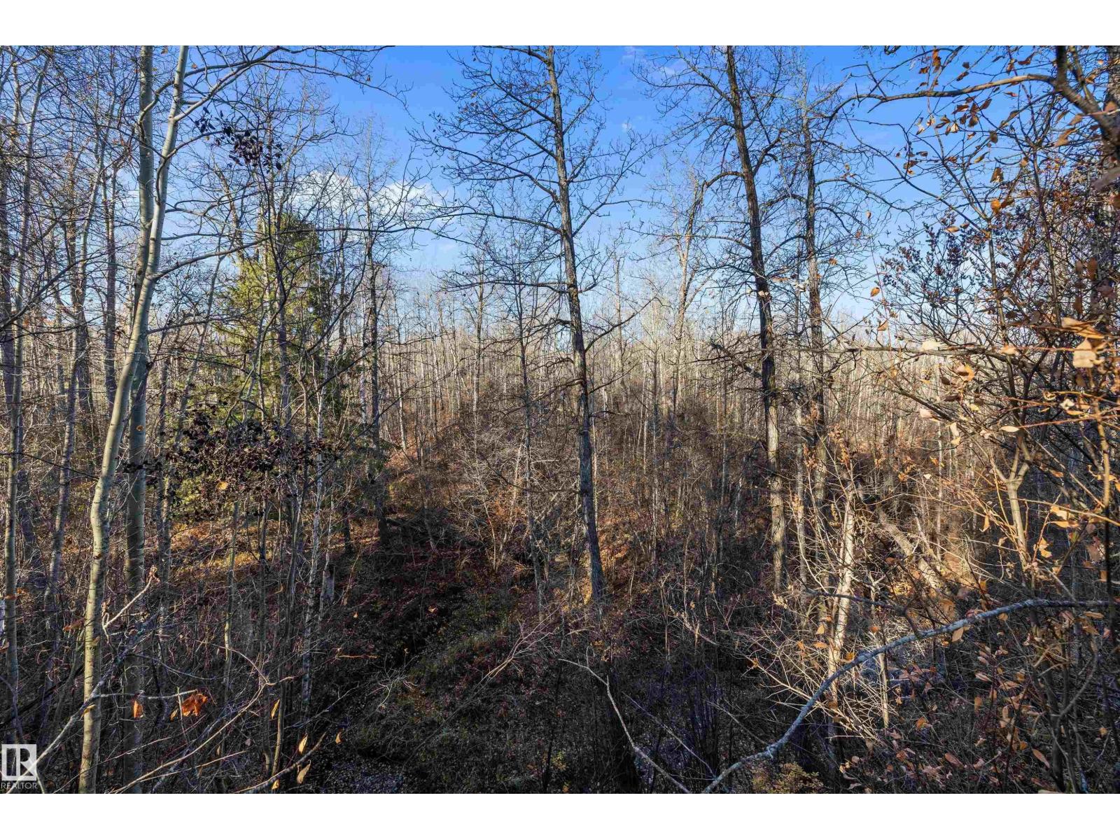 619 6th St, Rural Wetaskiwin County, Alberta  T0C 2V0 - Photo 49 - E4462685