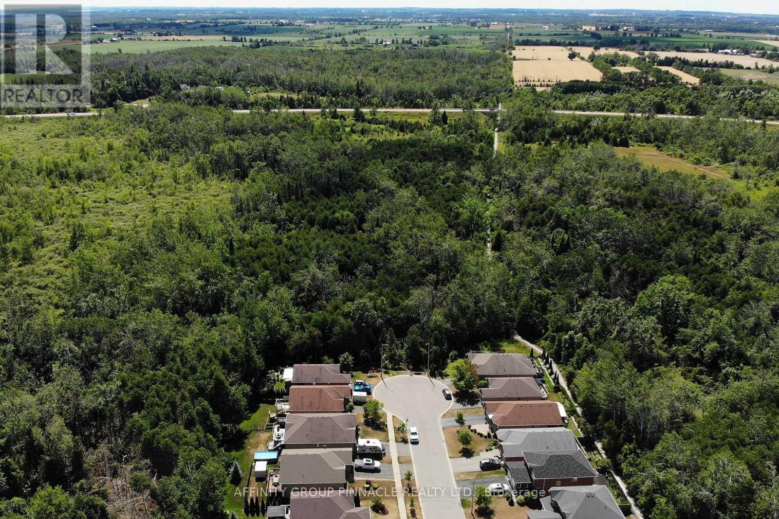 103 Cook Street, Kawartha Lakes, Ontario K9V 0K8 - Photo 5 - X12512822