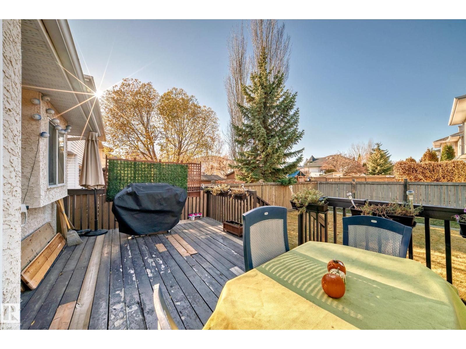 922 Burrows Cr Nw, Edmonton, Alberta  T6R 2L3 - Photo 14 - E4464756