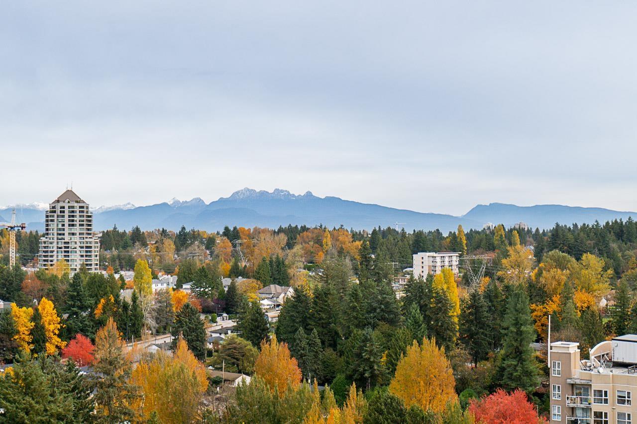 2006 13725 George Junction Road, Surrey, British Columbia  V3T 0V7 - Photo 20 - R3064445