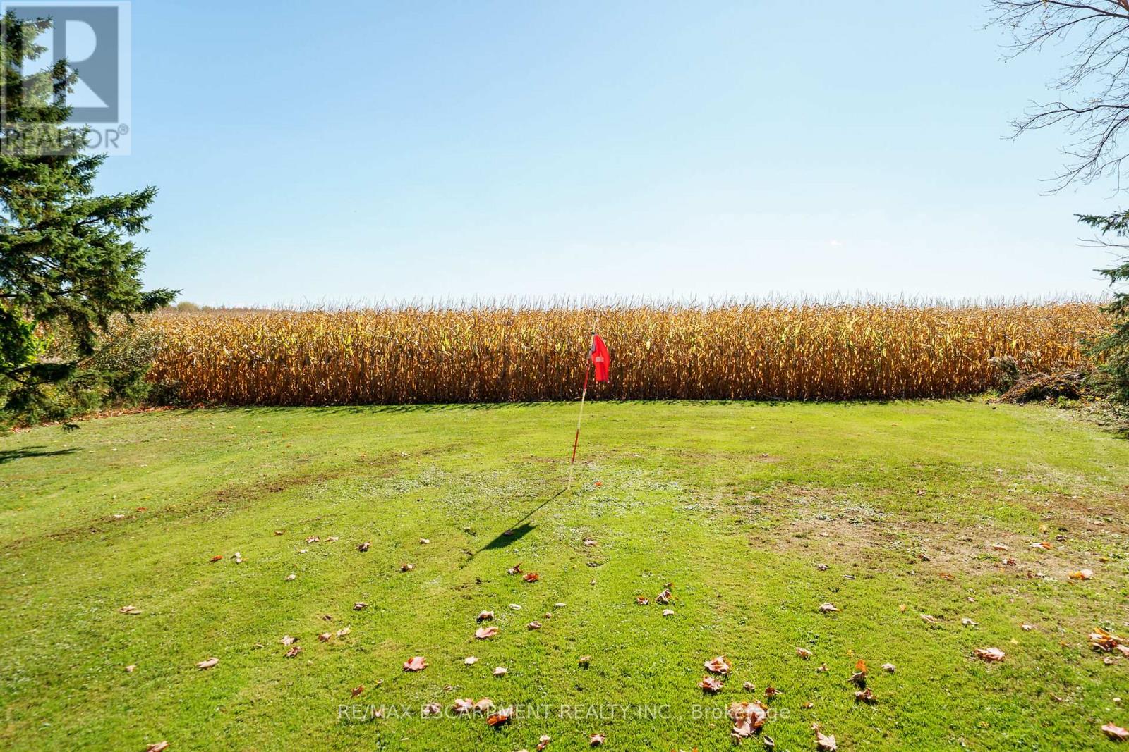 1072 Concession 13 Townsend, Norfolk, Ontario  N3Y 4K3 - Photo 41 - X12512726