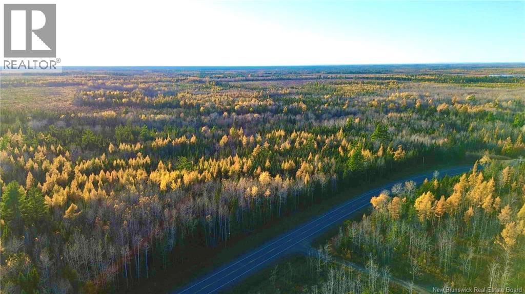 Subdivision Lot-A Route 126, Collette, New Brunswick  E4Y 2T3 - Photo 3 - NB129596