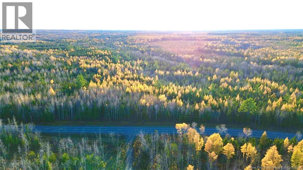 Subdivision Lot-A Route 126, Collette, New Brunswick  E4Y 2T3 - Photo 6 - NB129596