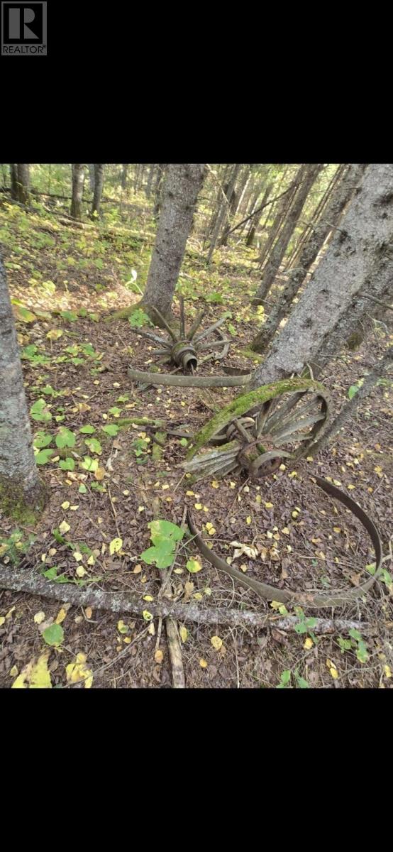 0 Hwy 11/17, Forbes Township, Ontario  P0T 1X0 - Photo 1 - TB253408