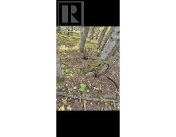 0 HWY 11/17, Forbes Township, Ontario