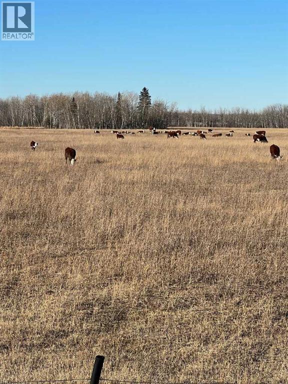 Se-32-71-5-W6 ., Grande Prairie, Alberta  T8X 0G4 - Photo 4 - A2181283