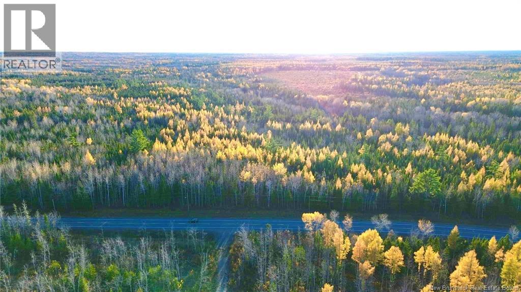 Subdivision Lot-B Route 126, Collette, New Brunswick  E4Y 2T3 - Photo 4 - NB129595