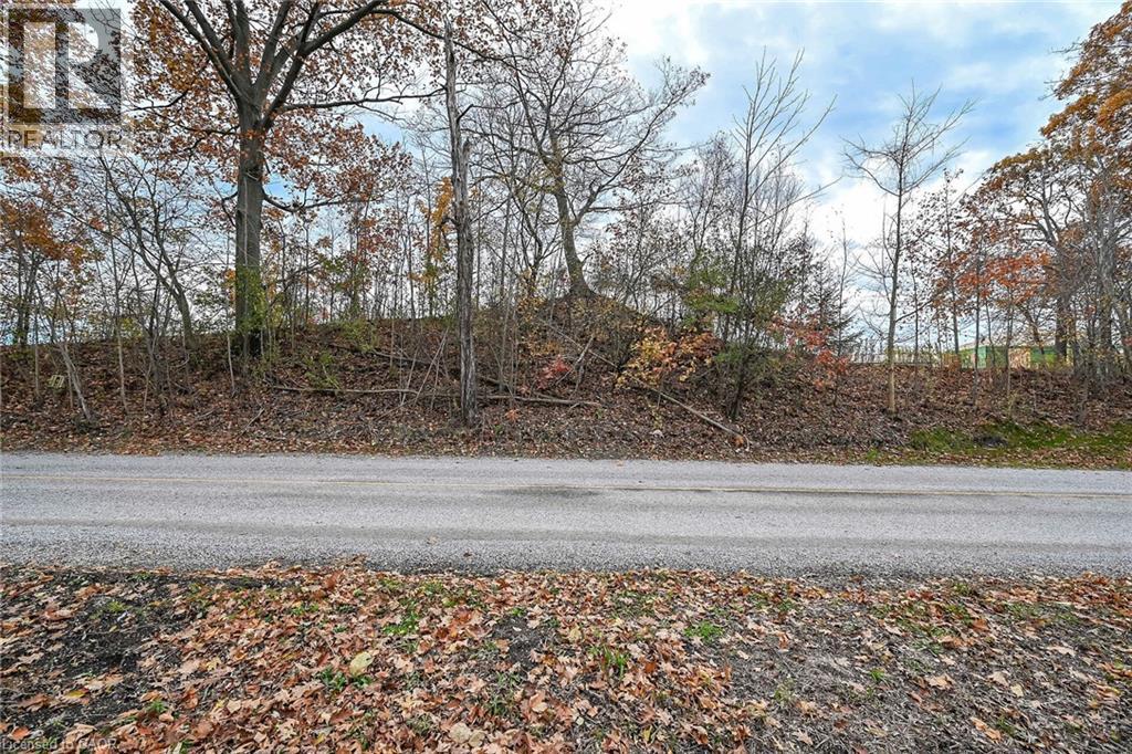 Pt Lt 23 Concession 1 Road, Rainham, Ontario  N1A 2W8 - Photo 11 - 40783988