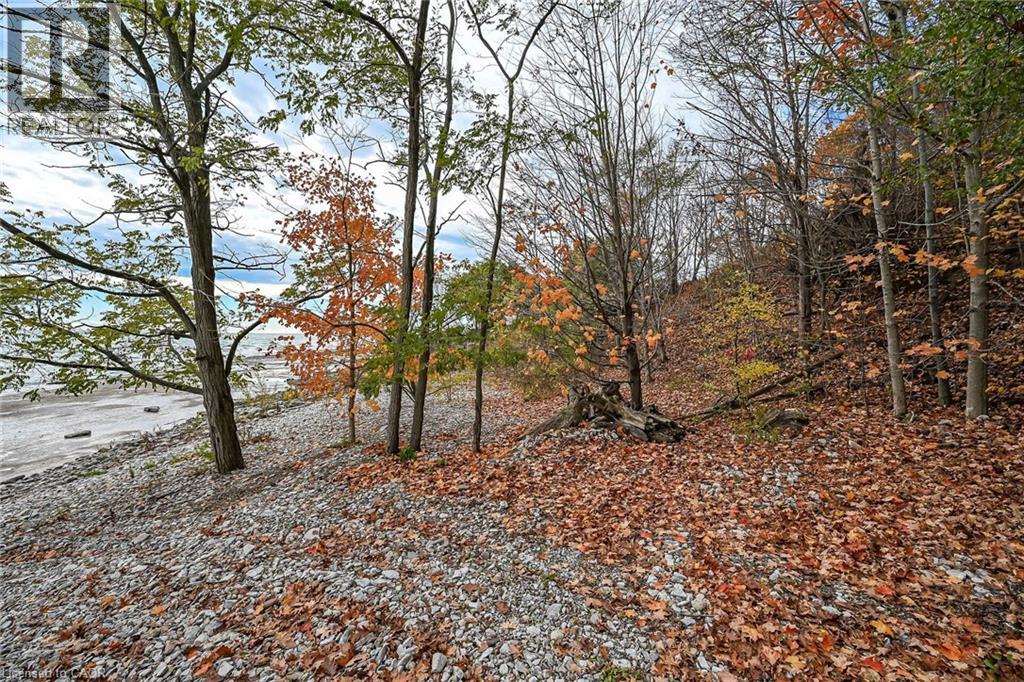 Pt Lt 23 Concession 1 Road, Rainham, Ontario  N1A 2W8 - Photo 14 - 40783988