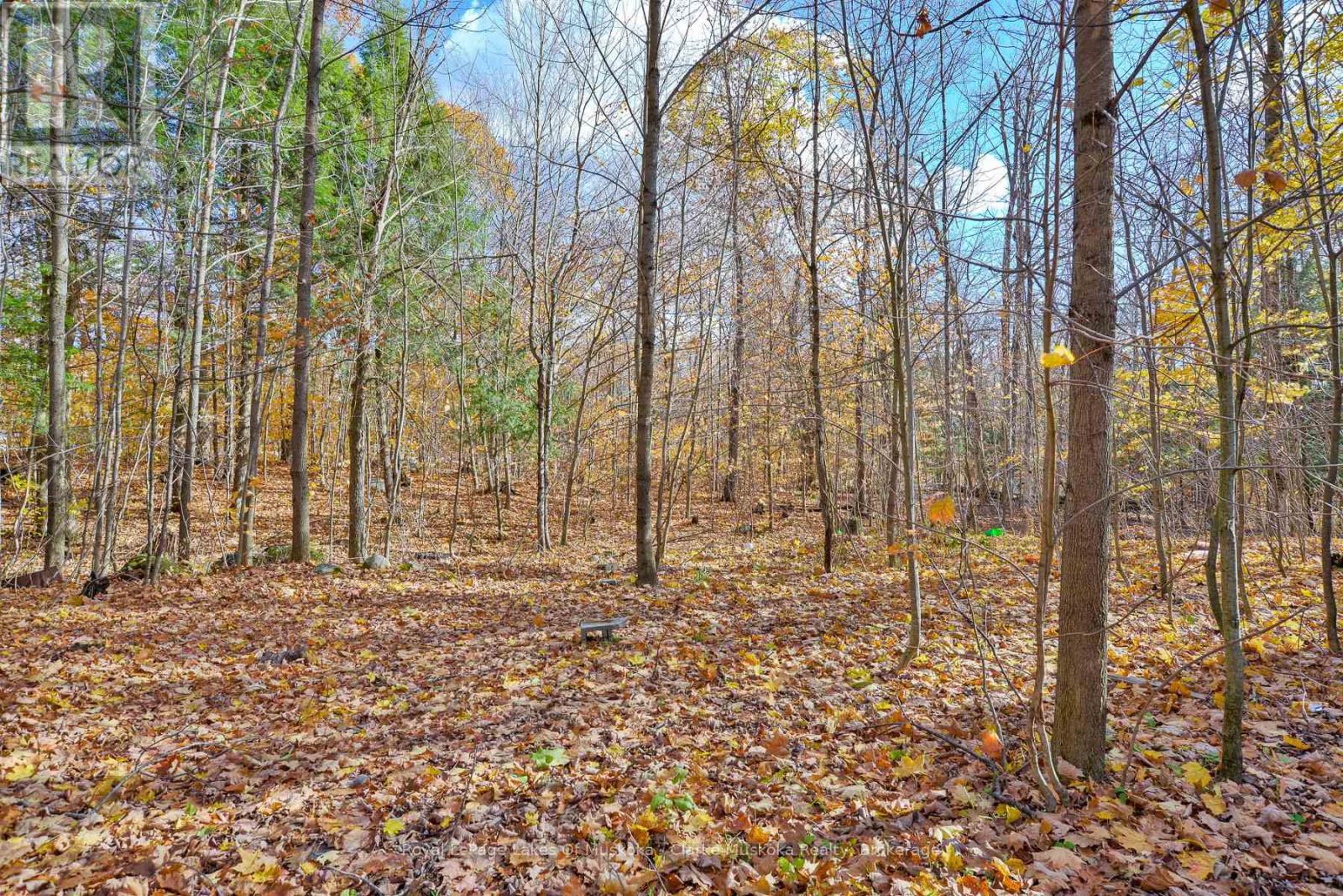 2026 Peninsula Road, Muskoka Lakes, Ontario P0B 1G0 - Photo 14 - X12513288