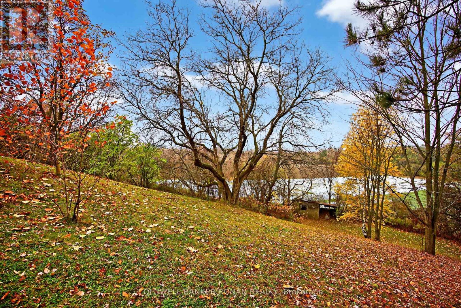 6976 2nd Line, New Tecumseth, Ontario  L0G 1W0 - Photo 29 - N12513088