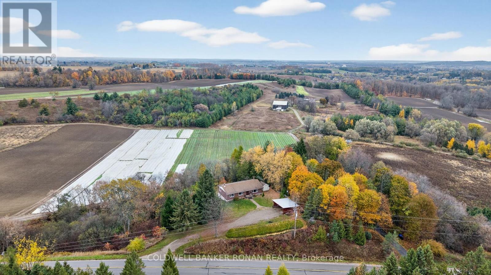 6976 2nd Line, New Tecumseth, Ontario  L0G 1W0 - Photo 3 - N12513088