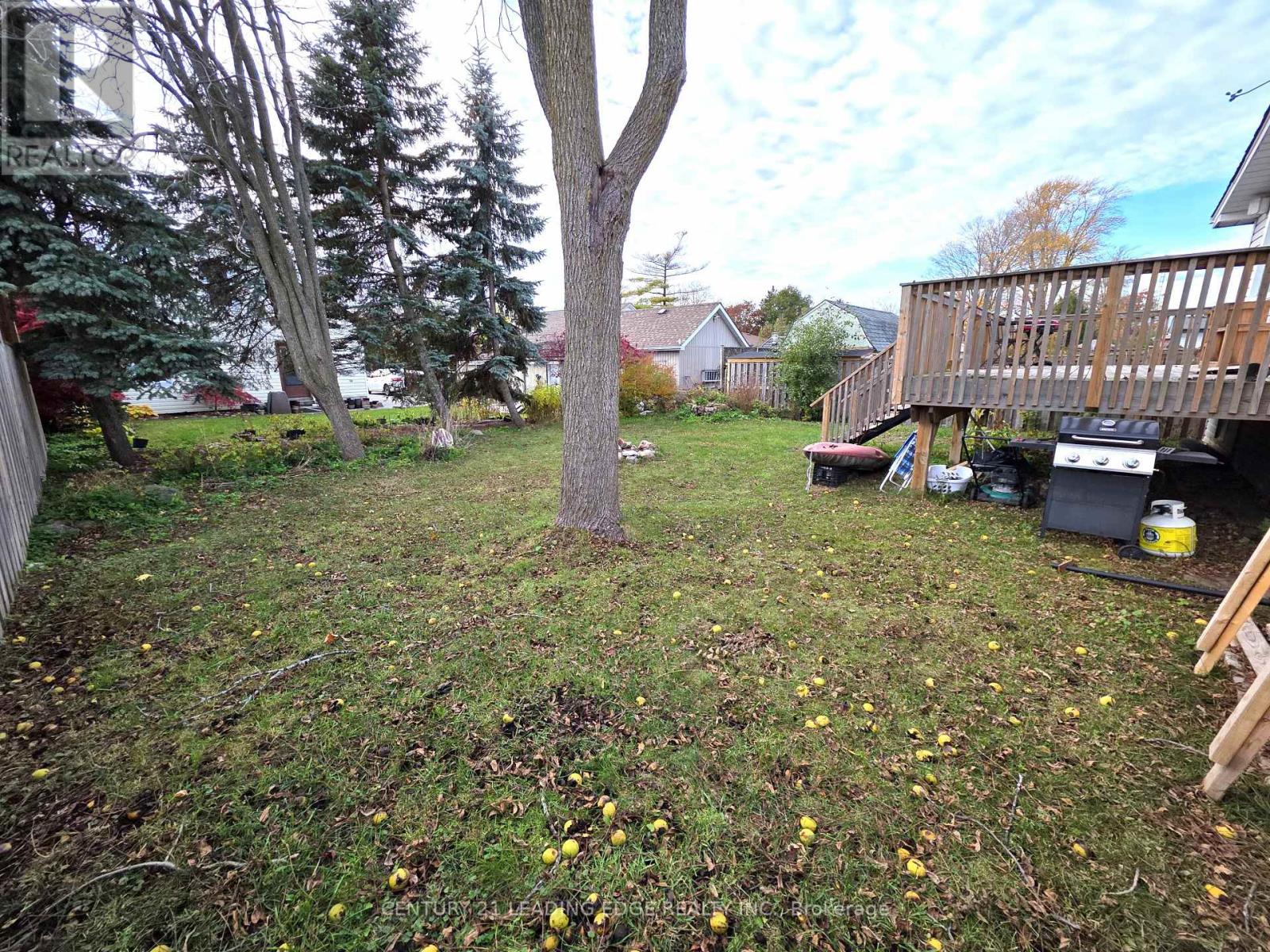 8 Lorne Street, Georgina, Ontario  L0E 1L0 - Photo 12 - N12513092