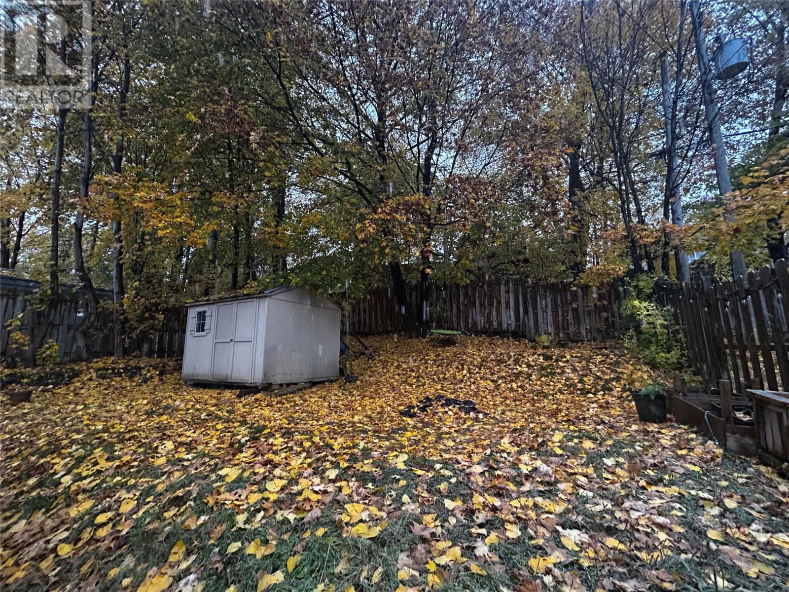 51 West Valley Road, Corner Brook, Newfoundland & Labrador  A2H 2X4 - Photo 32 - 1292266