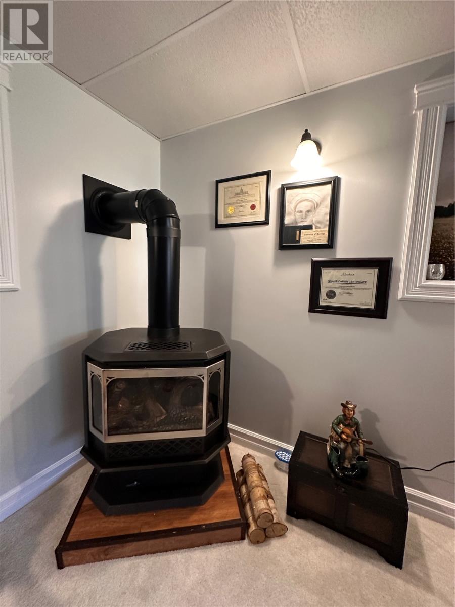 130 Main Road, Rushoon, Newfoundland & Labrador  A0E 2S0 - Photo 19 - 1292237