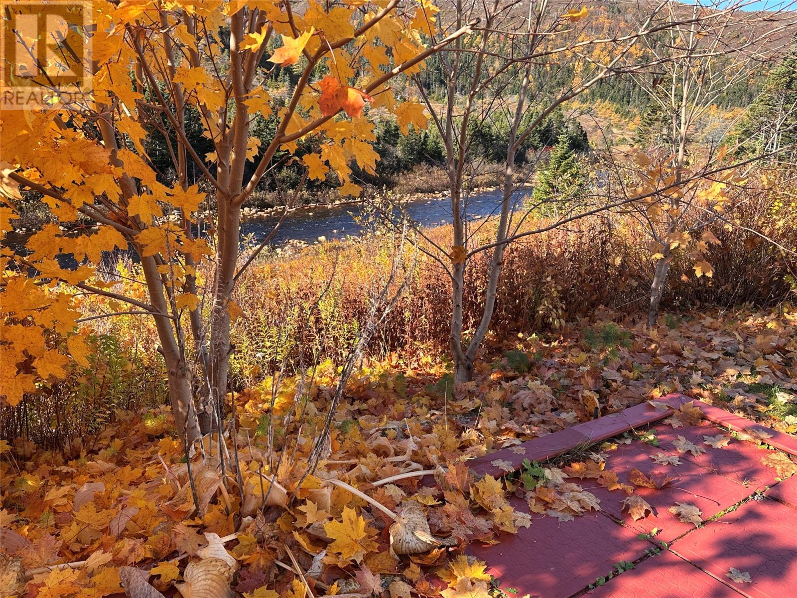 130 Main Road, Rushoon, Newfoundland & Labrador  A0E 2S0 - Photo 37 - 1292237