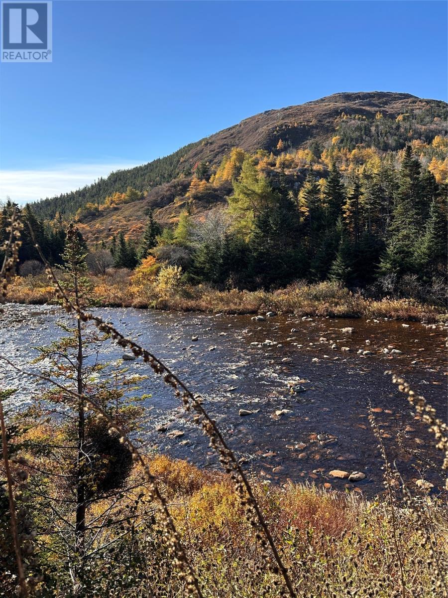130 Main Road, Rushoon, Newfoundland & Labrador  A0E 2S0 - Photo 38 - 1292237