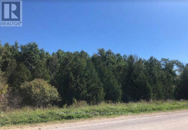 N/a Mulock Road, West Grey, Ontario  N4N 3B9 - Photo 2 - X12513300