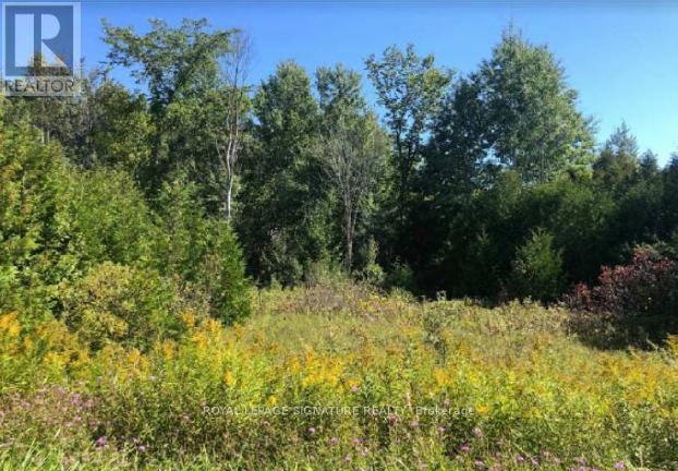 N/a Mulock Road, West Grey, Ontario  N4N 3B9 - Photo 3 - X12513300