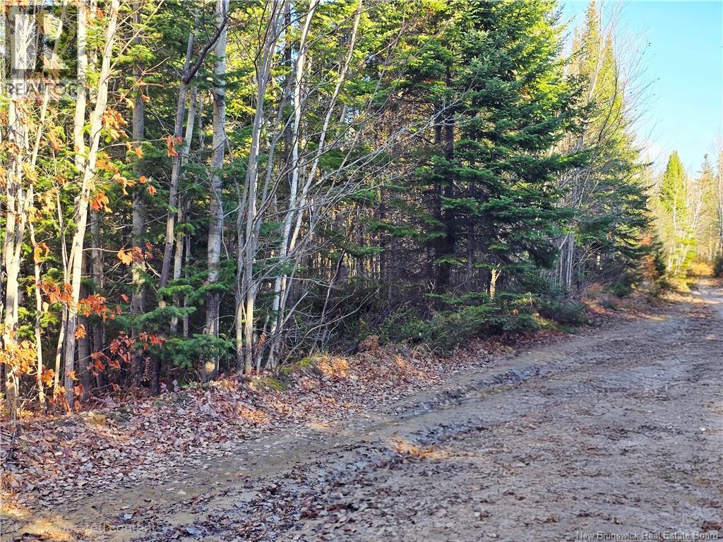 3 acres Ch Val-Doucet, Val-Doucet, New Brunswick
