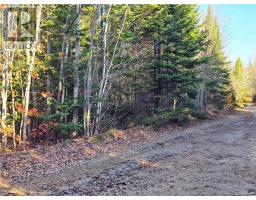 3 acres Ch Val-Doucet, val-doucet, New Brunswick