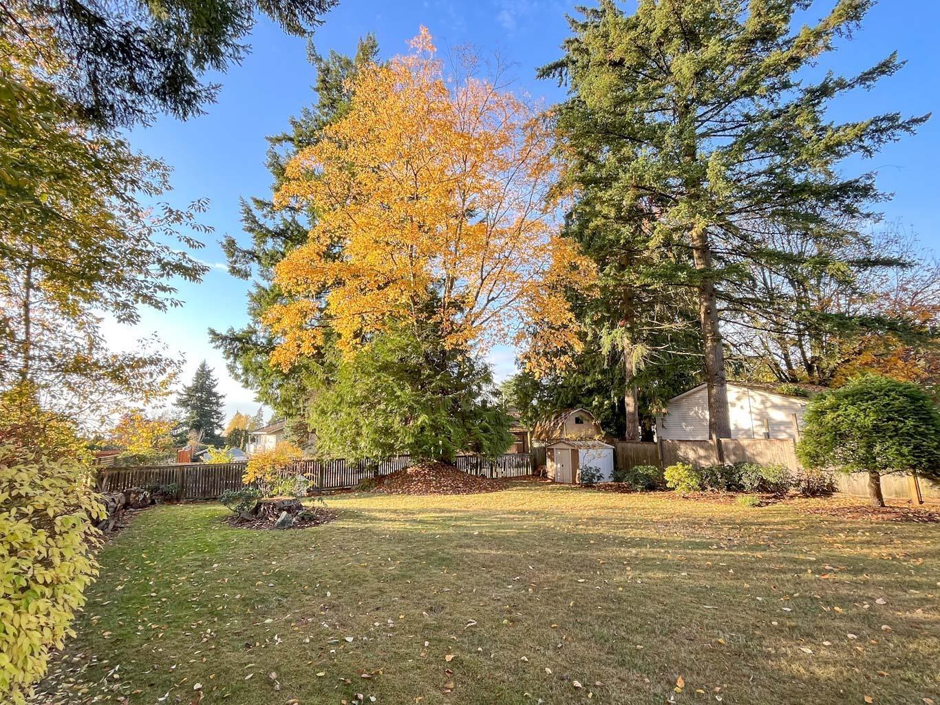 9035 114 Street, Delta, British Columbia  V4C 5K1 - Photo 8 - R3062565