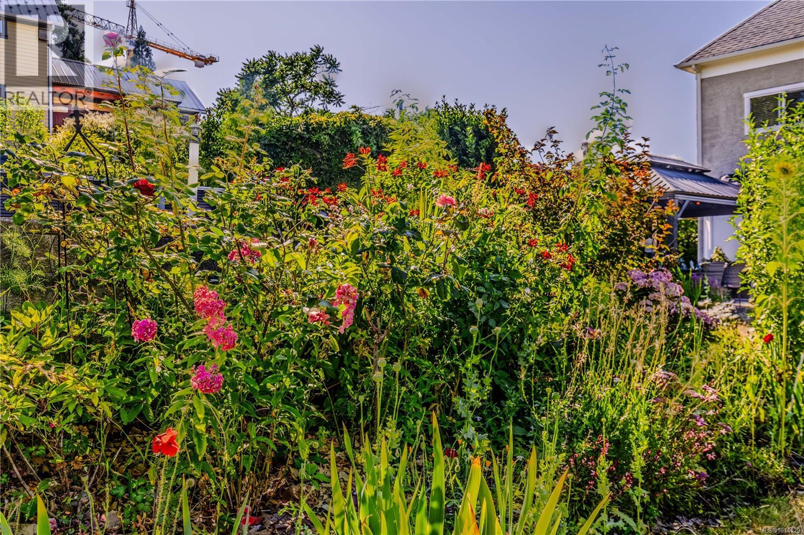 377 Milton St, Nanaimo, British Columbia V9R 2K8 - Photo 81 - 1014529