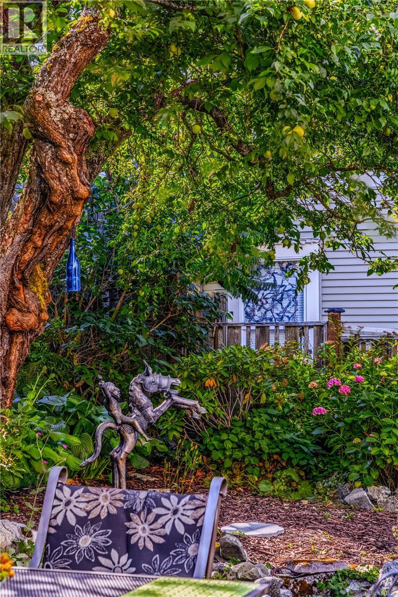 377 Milton St, Nanaimo, British Columbia V9R 2K8 - Photo 94 - 1014529